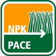 PACE kis kép